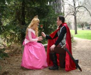 пазл Принц на коленях перед принцессой дает Rose